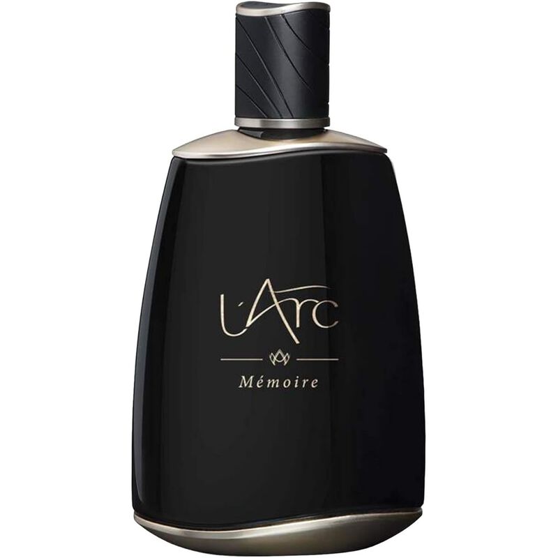 l'arc memoire carnet de voyage edp