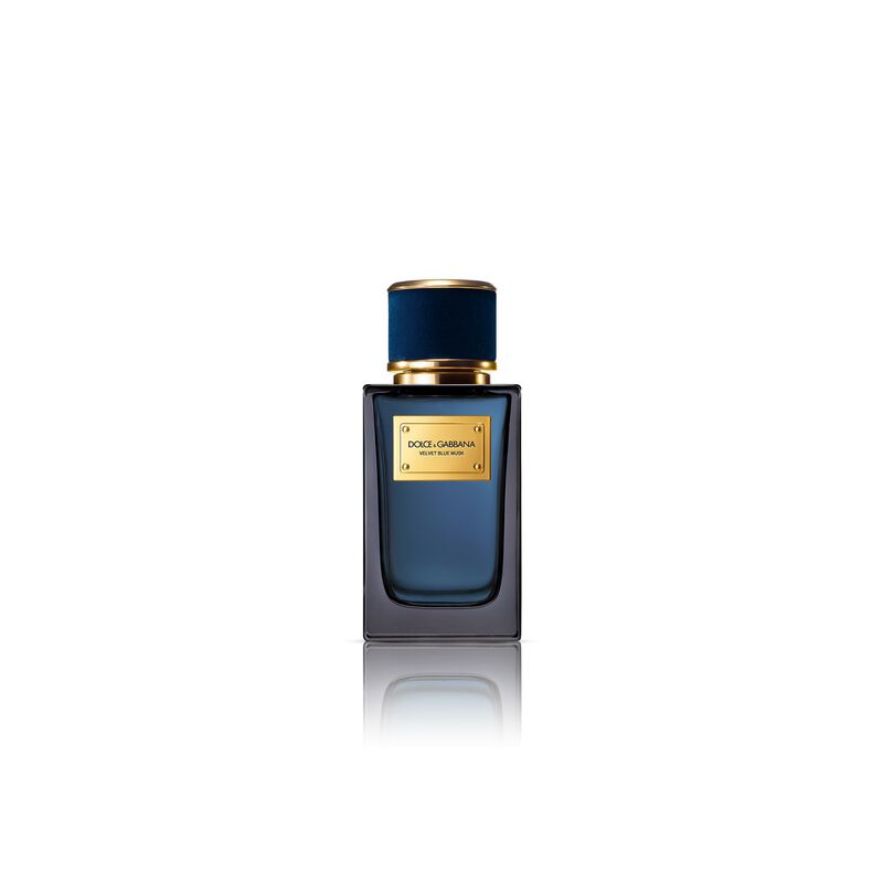 dolce & gabbana velvet blue musk